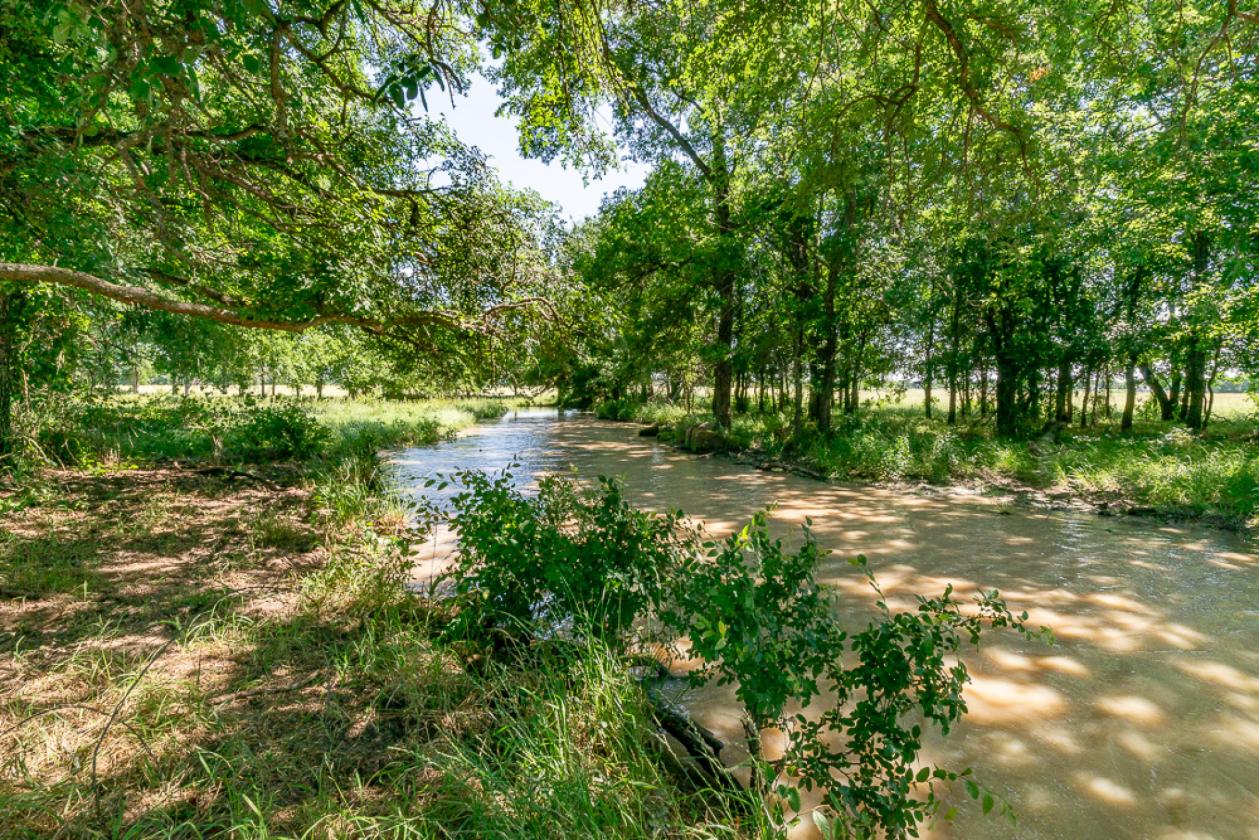 117.5 Acre Horse & Cattle & Rec. Property - photo 21