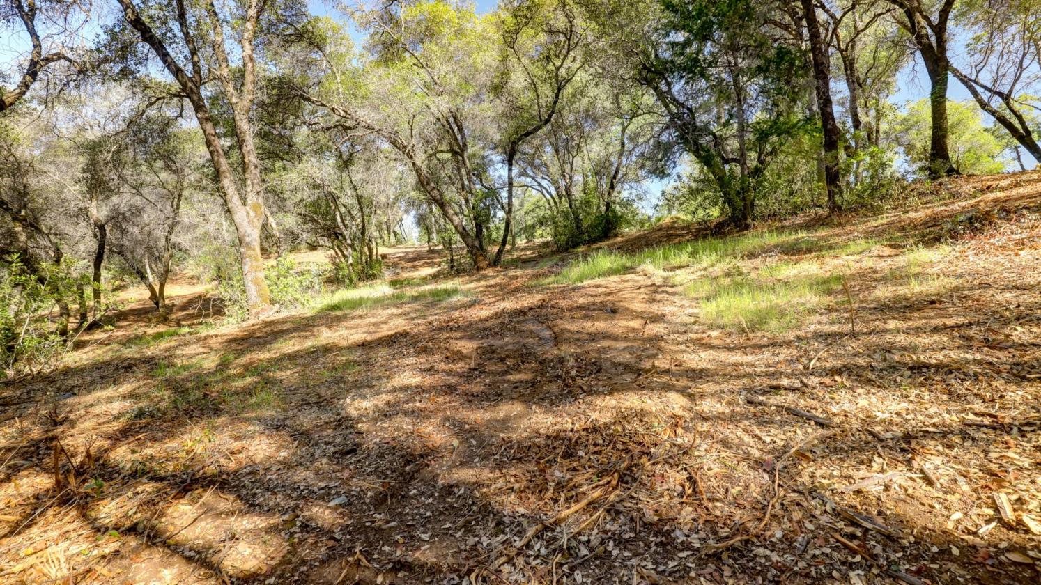 Your 5 Acre Sanctuary in Equestrian Community - photo 6