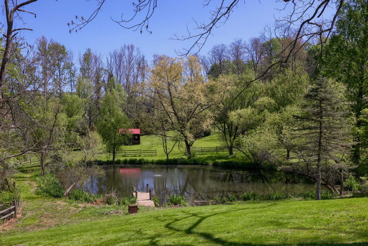 1737 Historic Stone on 11+ Acres - photo 10