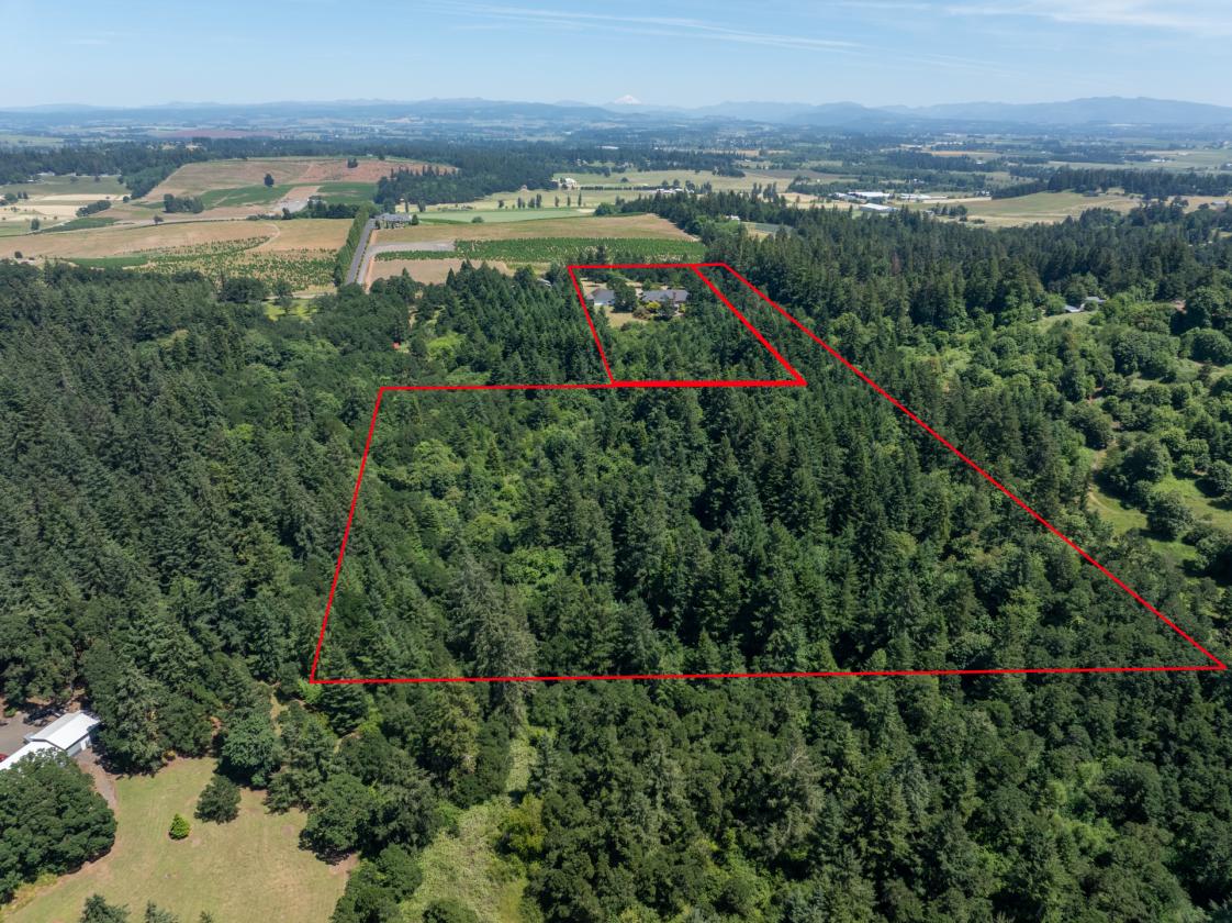25 Acre Estate with Large Car Barn - photo 2