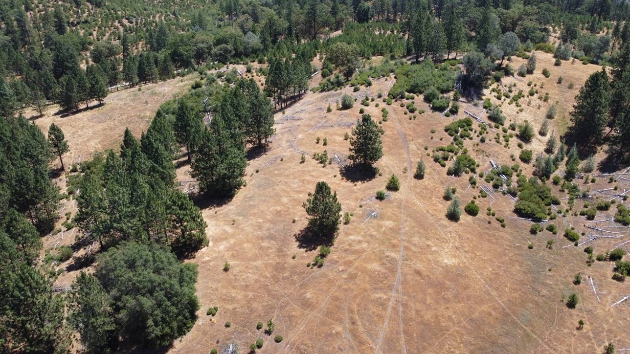 Beautiful Rolling 165 Acres, 100GPM Well too! - photo 14