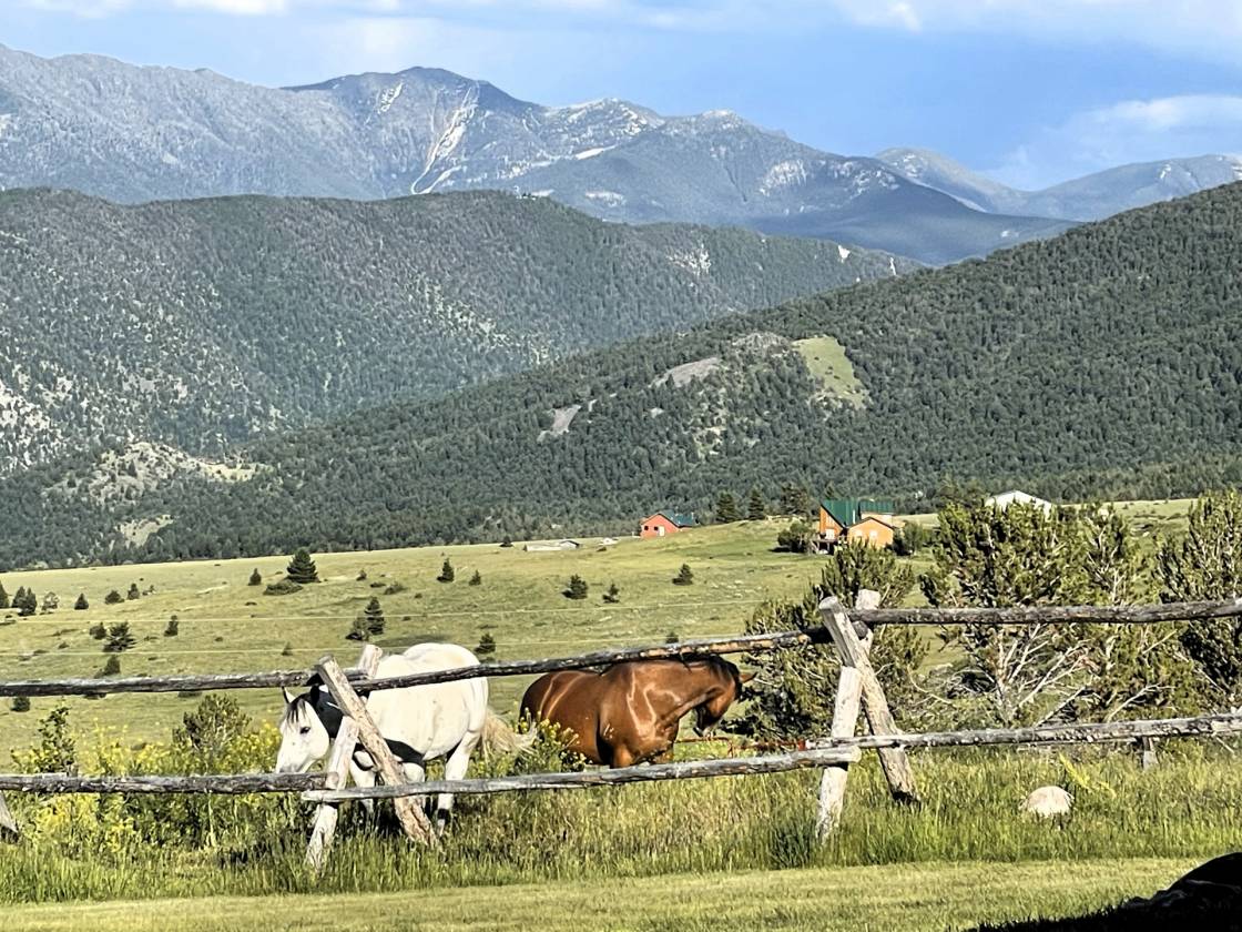 Horse Property for sale.