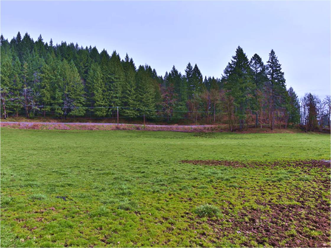 Horse Property Oregon Columbia County Riding Arena