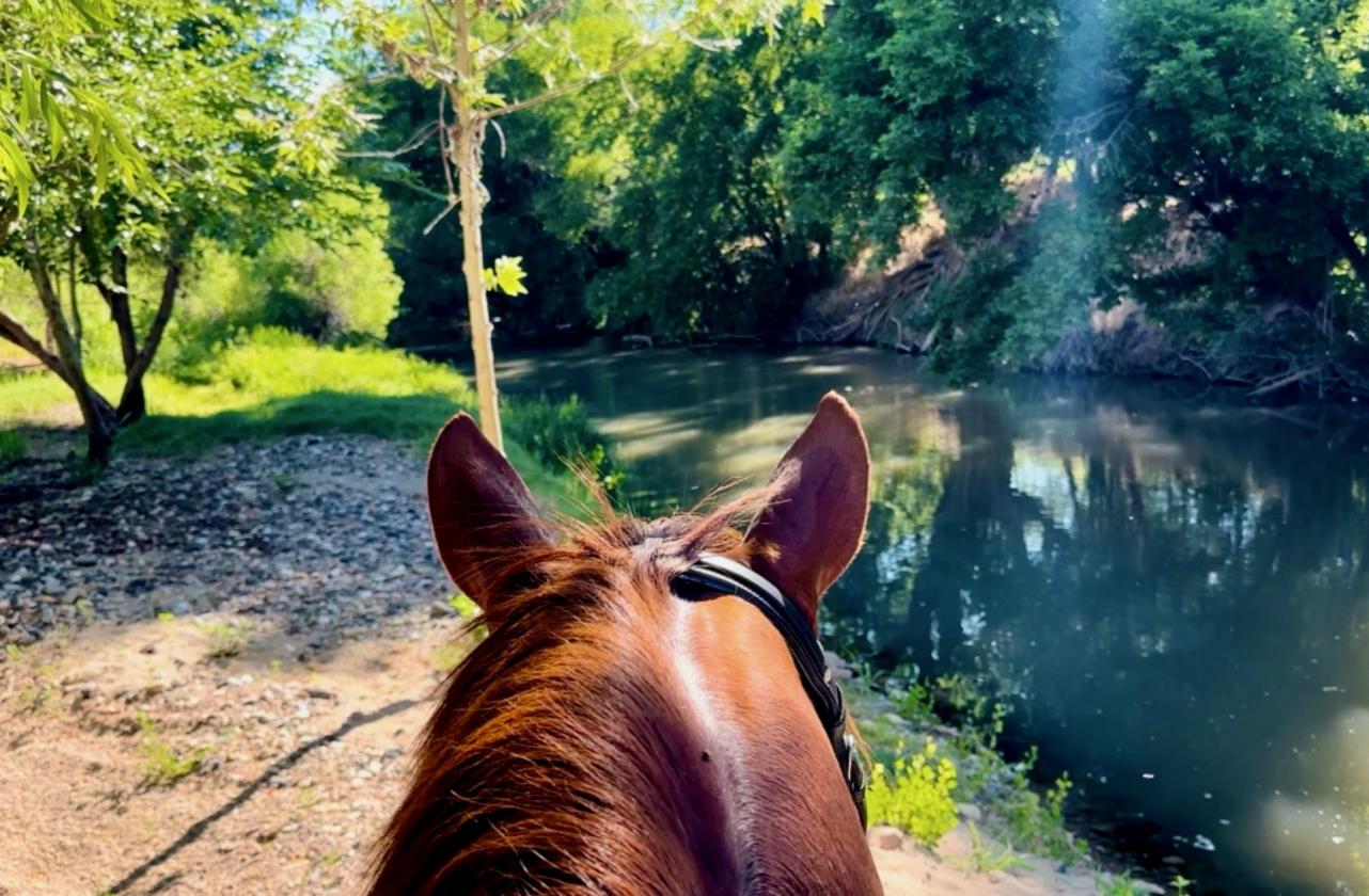 Horse lovers paradise - photo 1