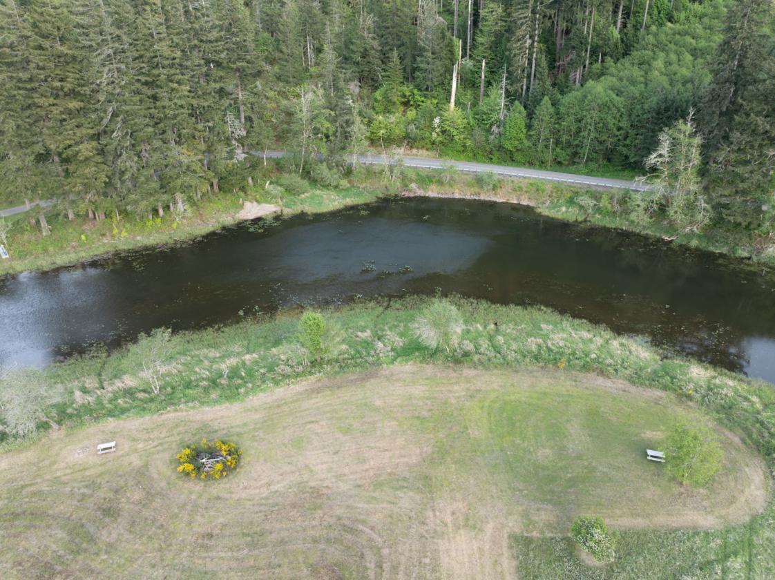 Packwood Ranch - photo 19