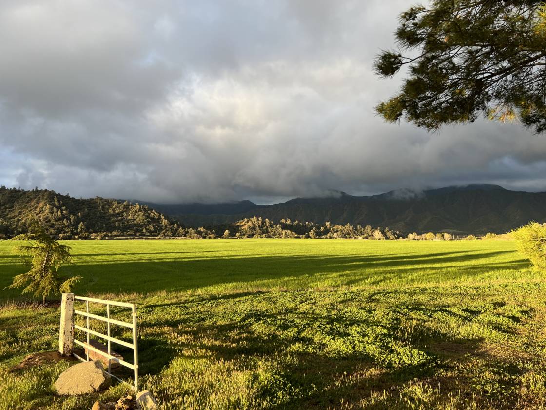 Equestrian Paradise 277 Acres | Five Home Compound - photo 30