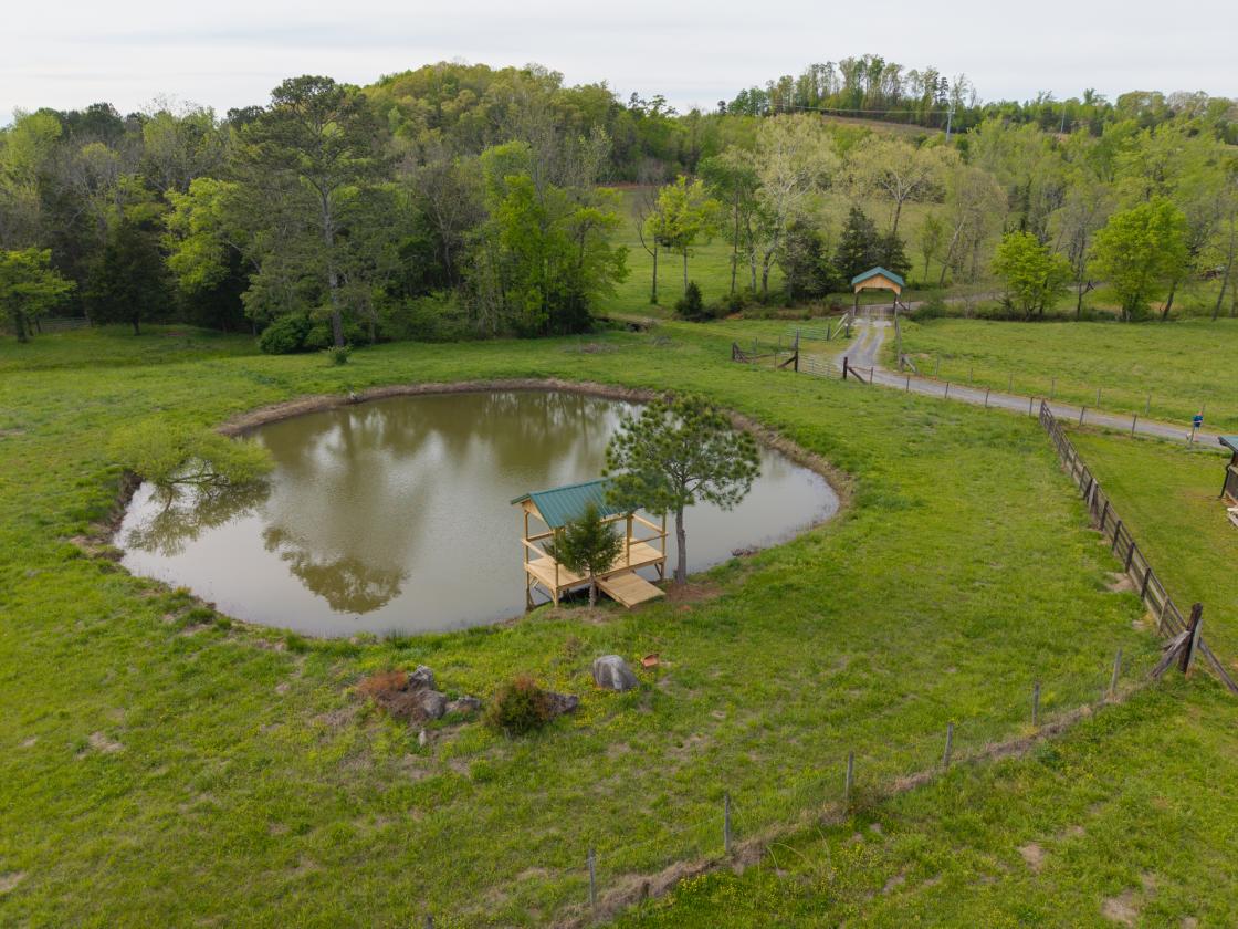 54 Acre Farm with 2 Houses - photo 3