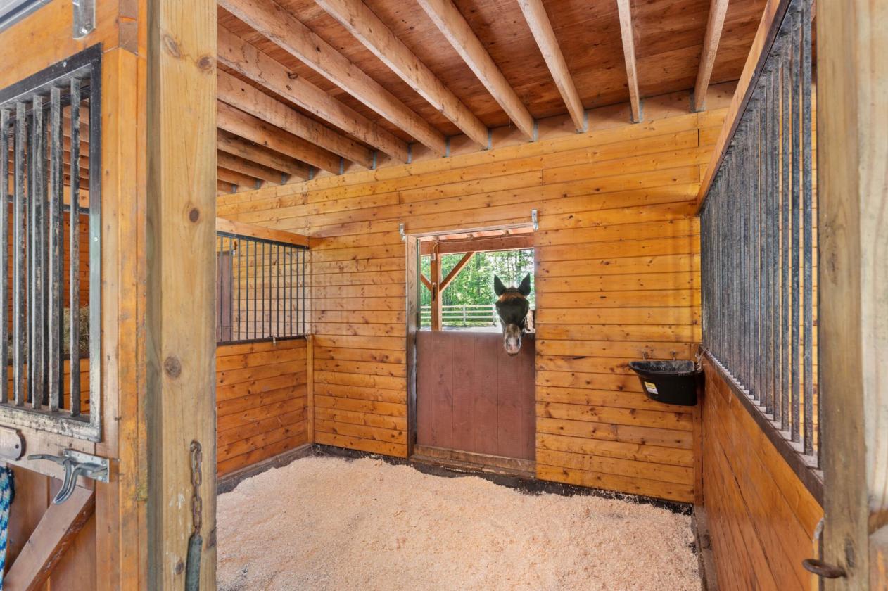 ENERGY EFFICIENT EQUESTRIAN HOMESTEAD - photo 12