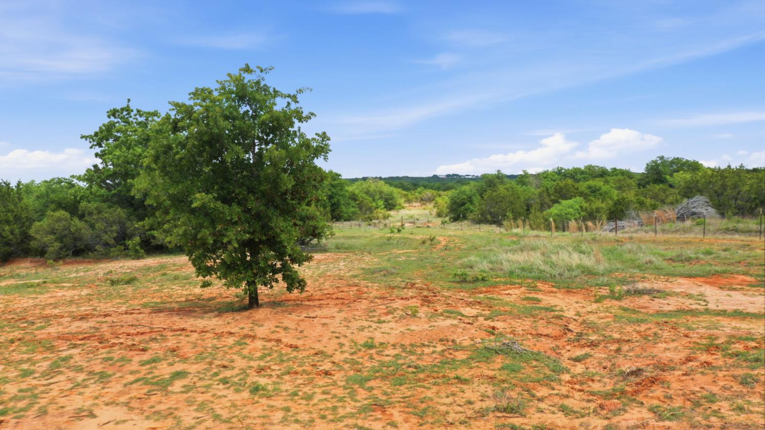 12-Acre Ag-Exempt Property - photo 19