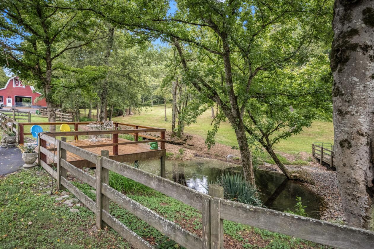 Trail Riding Dreams and privacy galore!! - photo 6