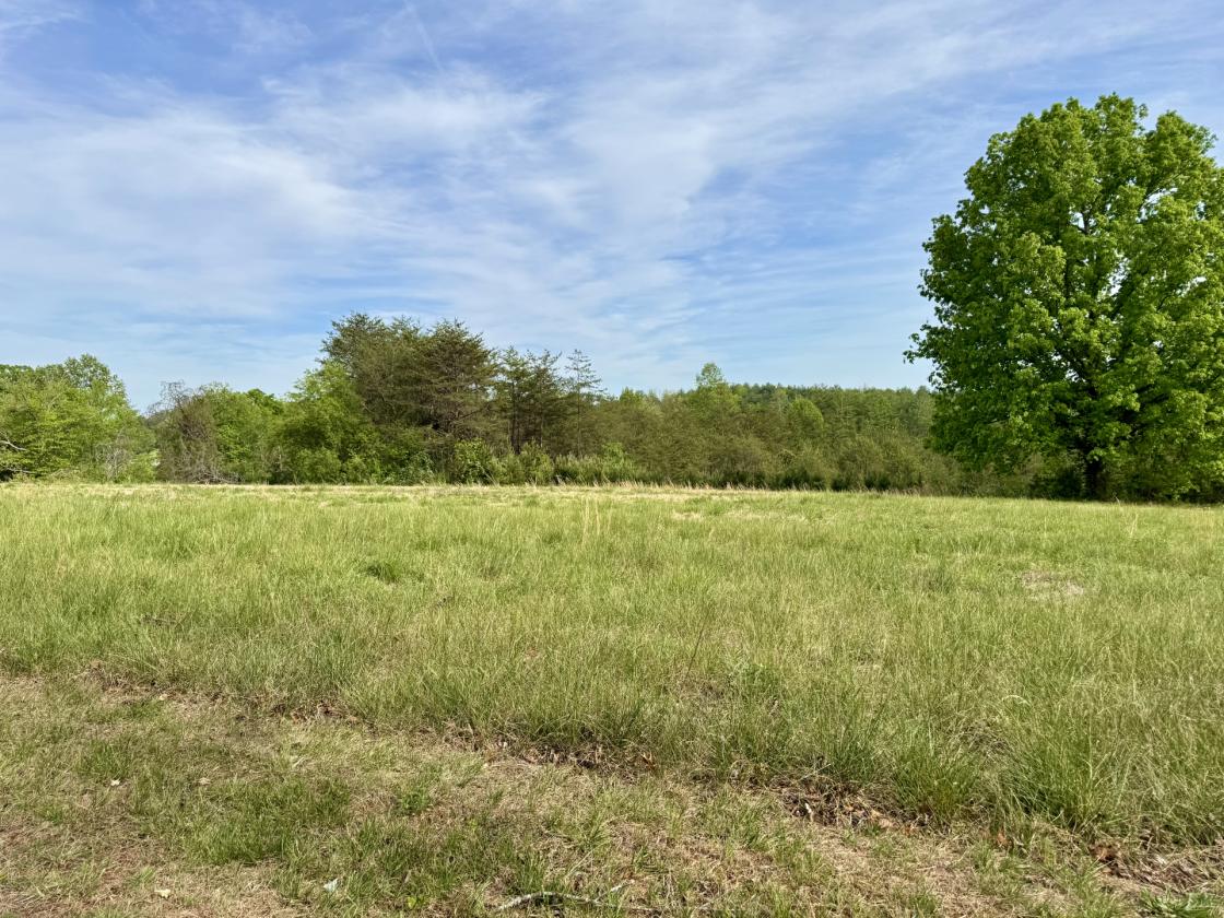 2.47 acres for your Mini-Farm Dream at The Coves - photo 6