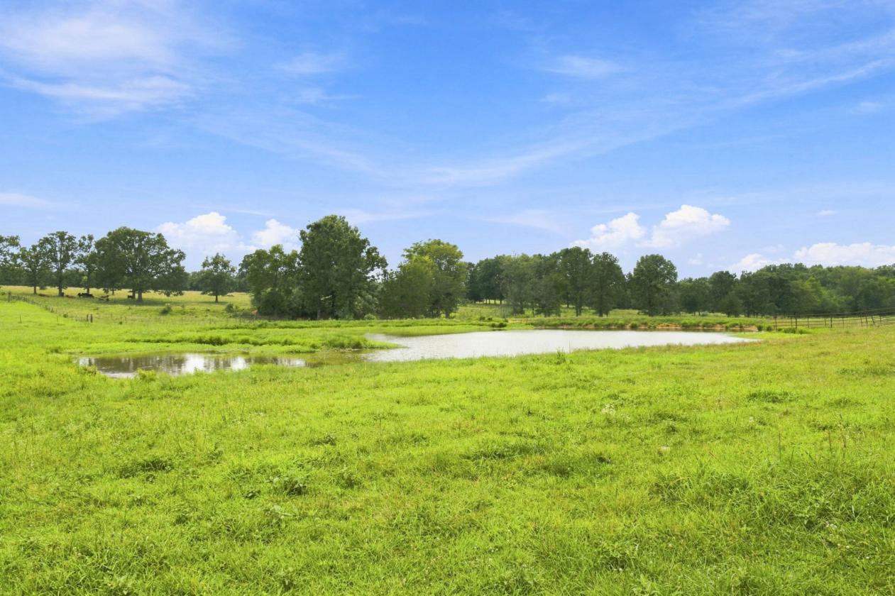 92 Acre Equestrian Estate with Remodeled Home - photo 27