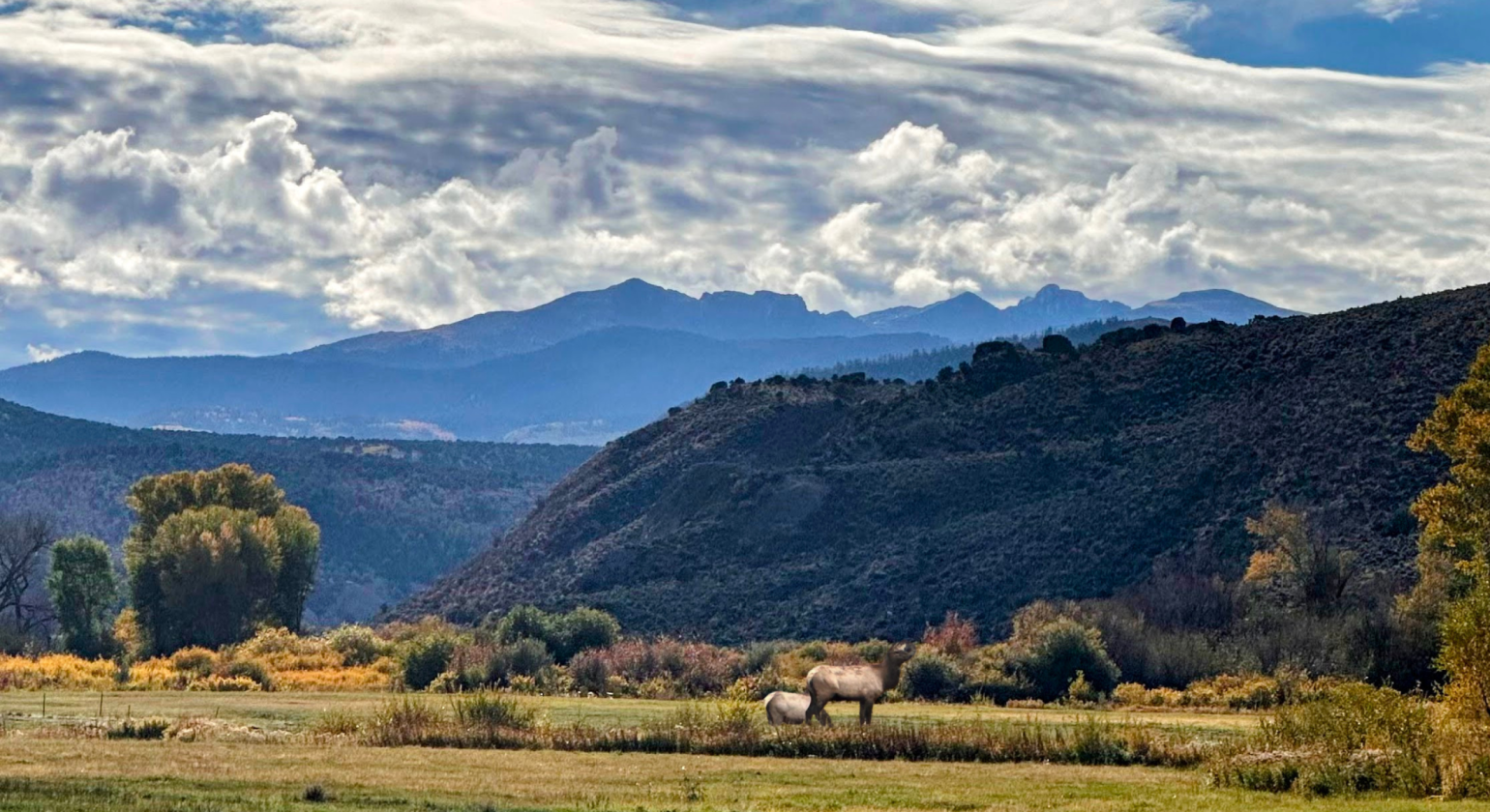 Brush Creek Stables Ranch - photo 1