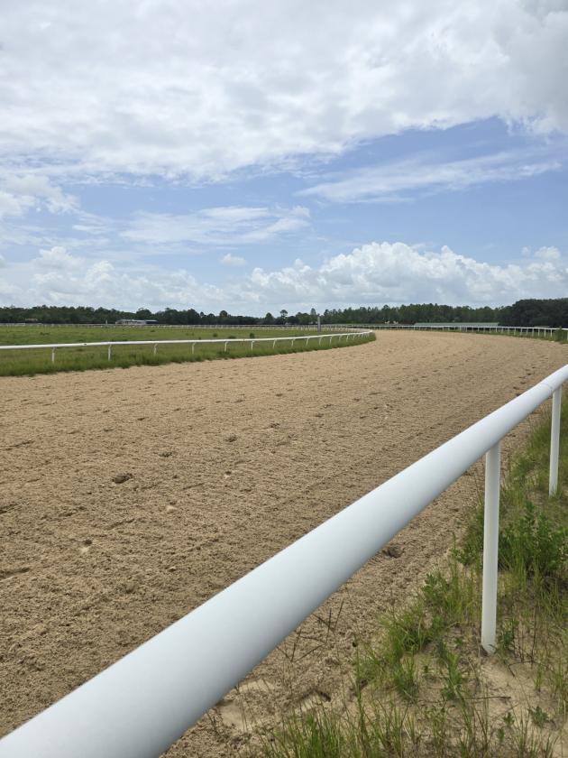 23 Stall Barn on 1 Mile Racetrack w/ Apt - photo 3