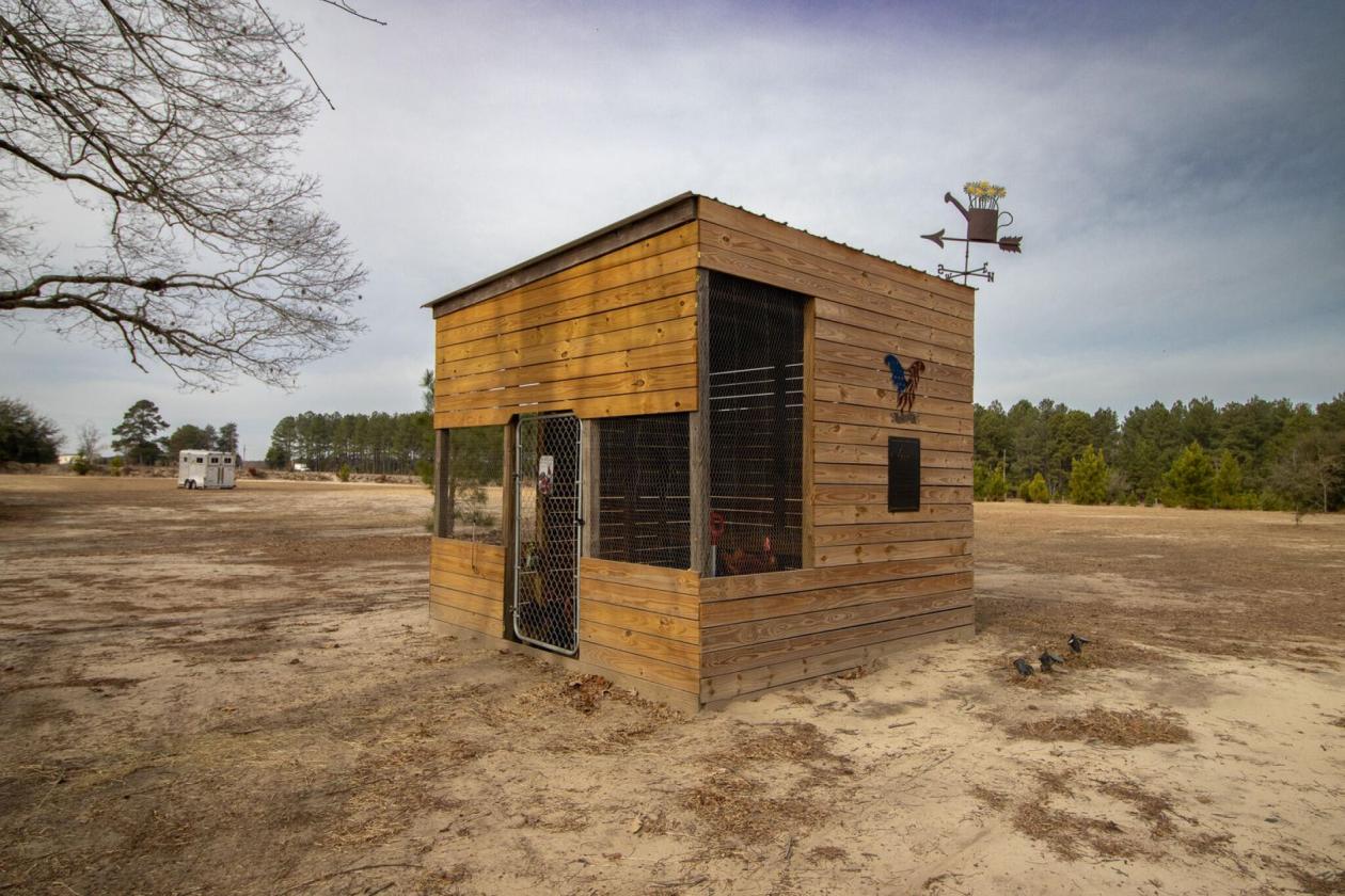Affordable Horse Farm on 13 acres in Aiken County - photo 16