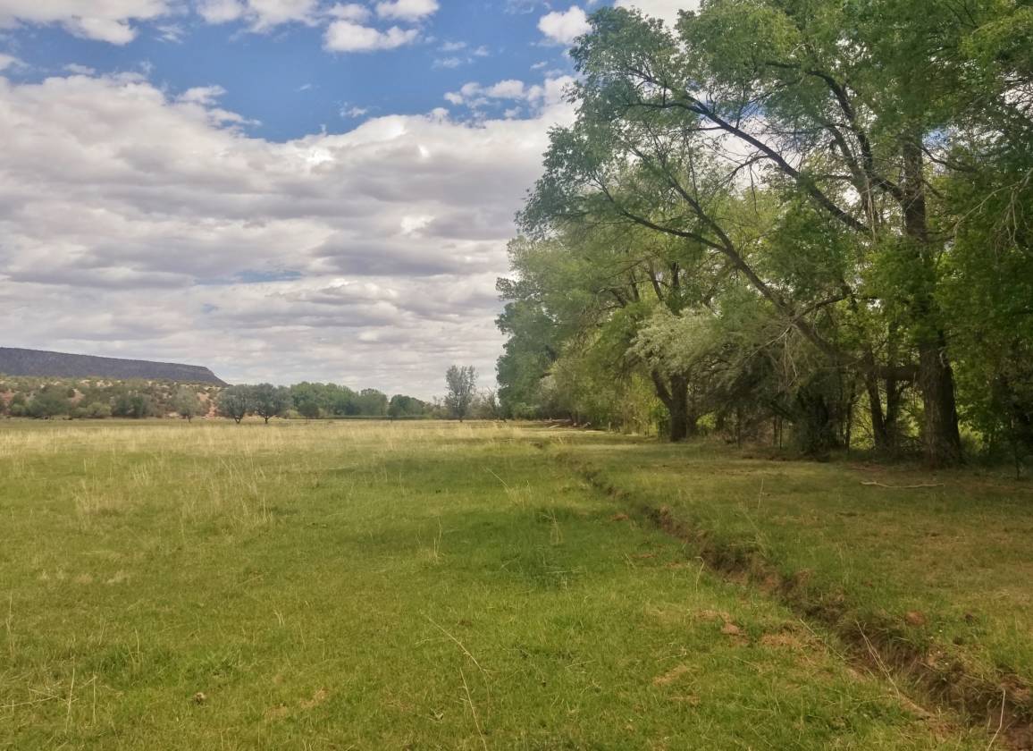 Equestrian estate on the Pecos! Ribera, San Miguel County, New Mexico