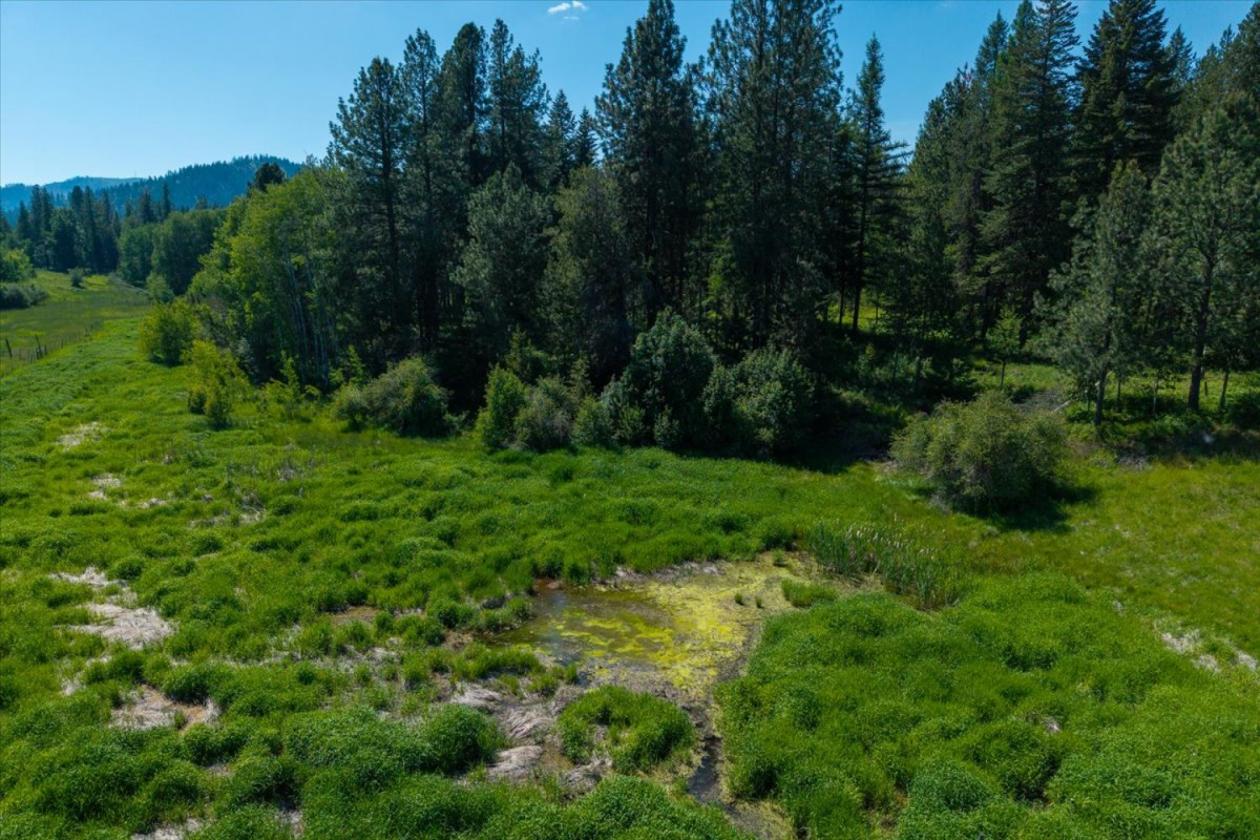 26 Level Acres with Nice Views! - photo 10