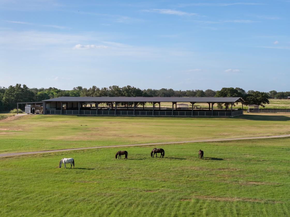 Luxury Equestrian Estate on 73 Acres - photo 21