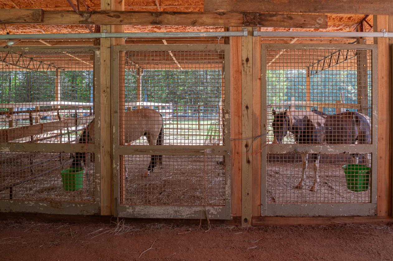 Must SEE Equestrian Property on 25+ acres - photo 16