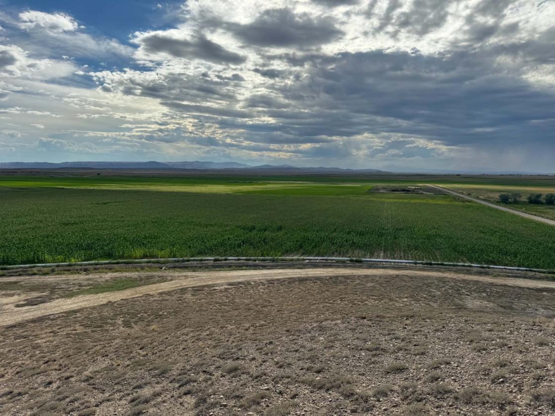 Discover 67± acres of Versatile Land - photo 5