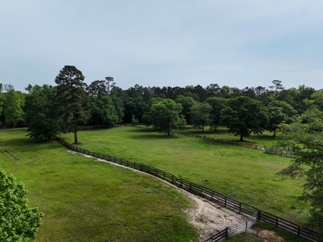 ONE OF A KIND HORSE FARM - photo 16