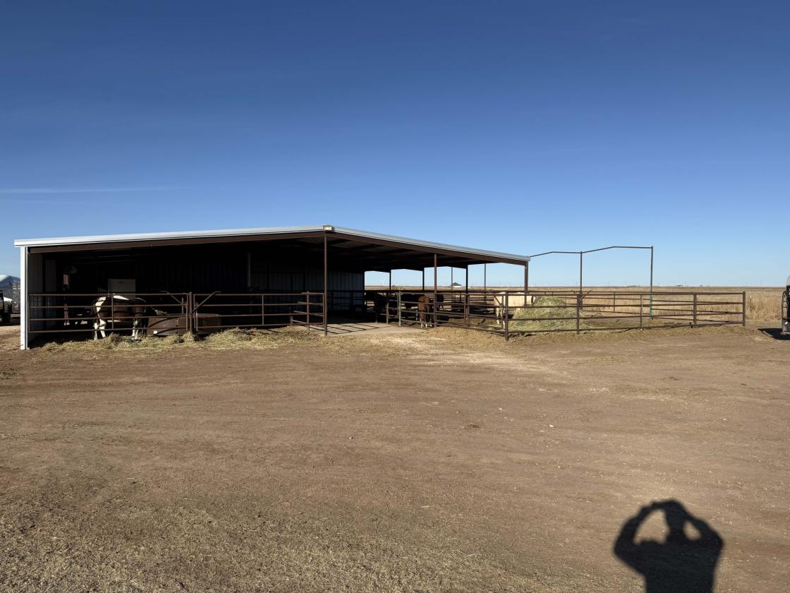 Feedyard & Equine Facility with Modern Homes - photo 27
