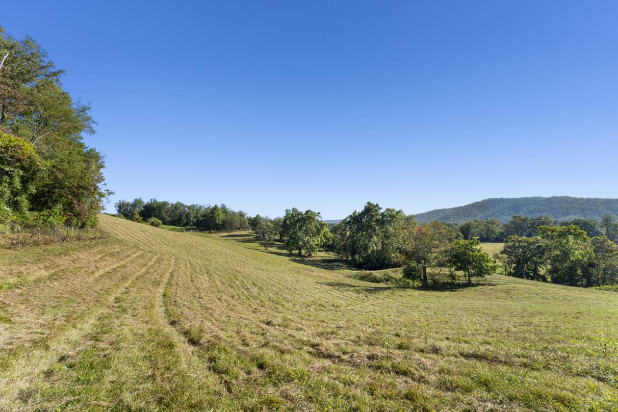 Fox Hill - in Virginia's Hunt Country - photo 17