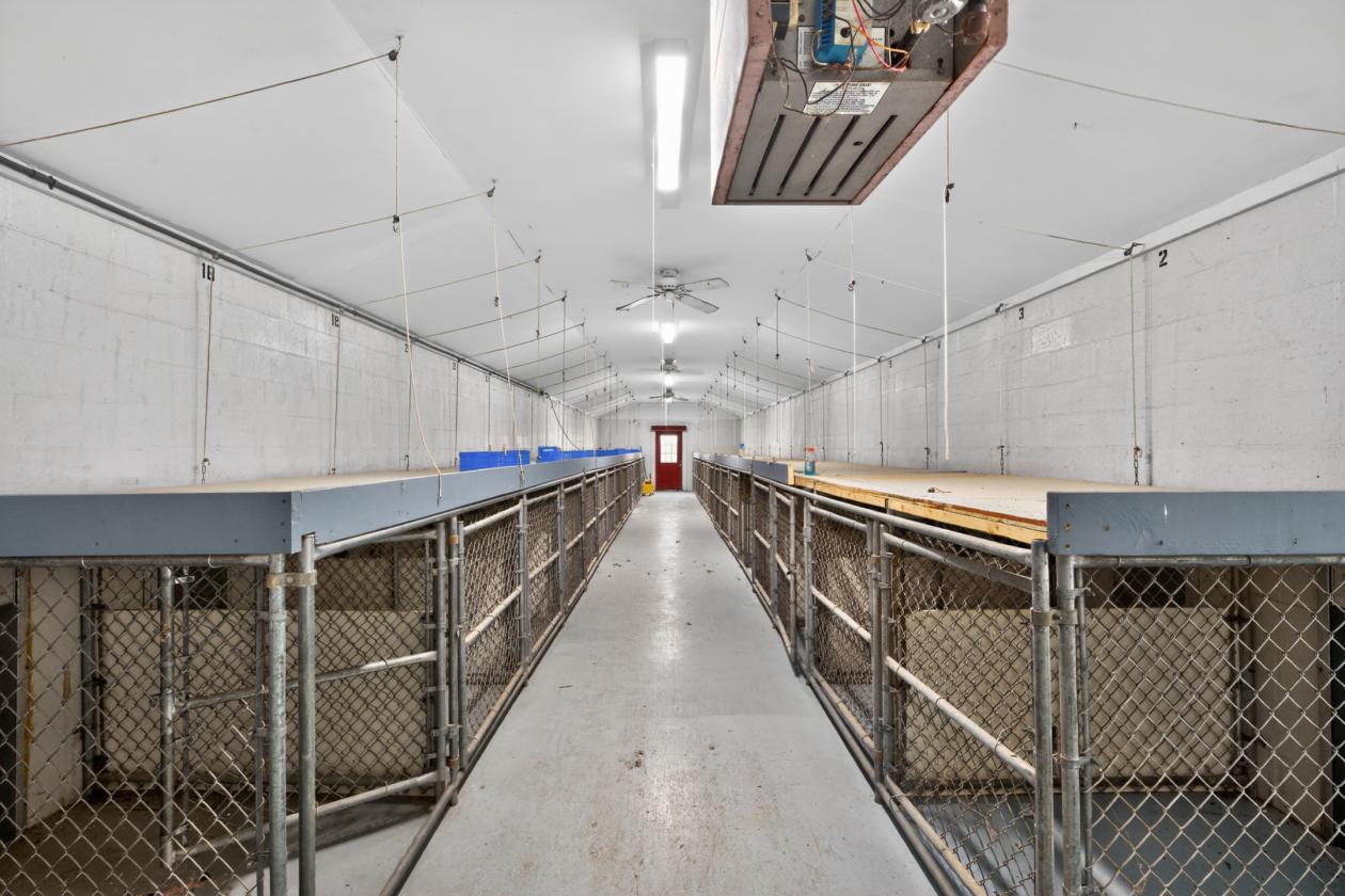 CLOSE TO TRYON Horse farm with 30+ kennel facility - photo 22