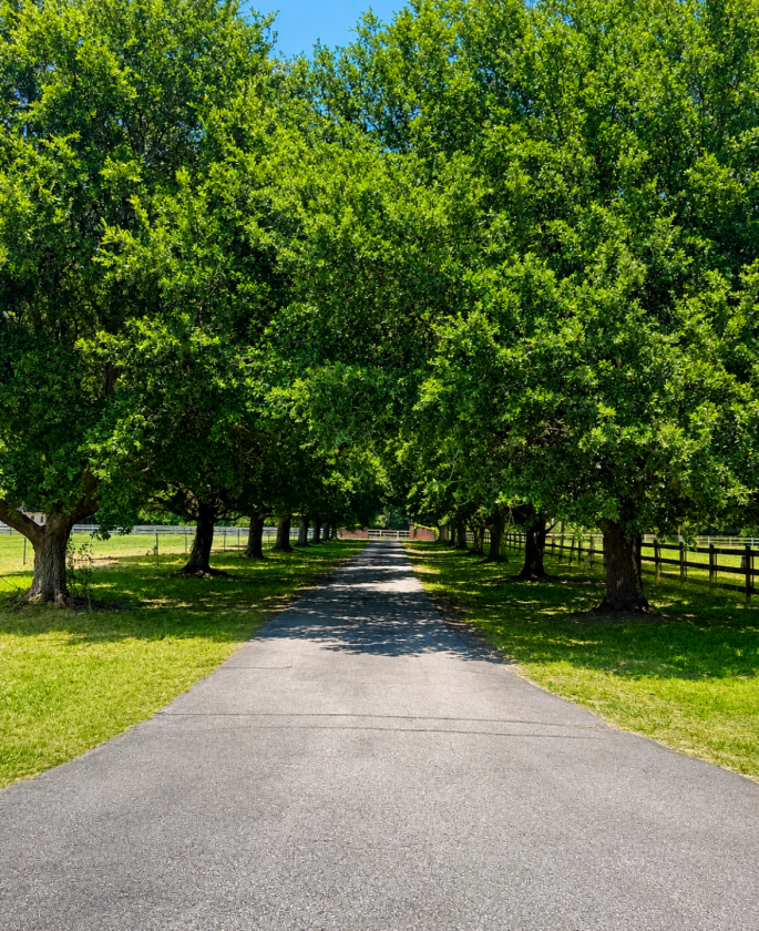 47 Acre Horse Property on Beautiful Setting - photo 4