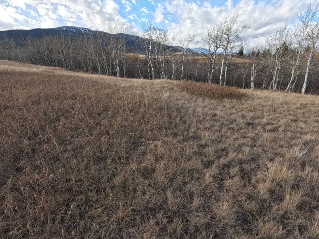 15.268 Acres! Creeks! Trails! Views! Meadows! - photo 16