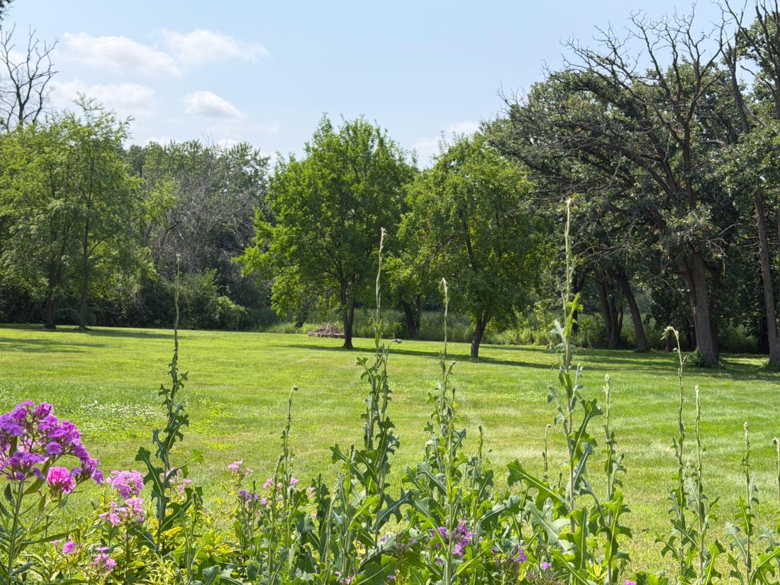 Estate Adjacent to 1,100 Protected Acres - photo 30