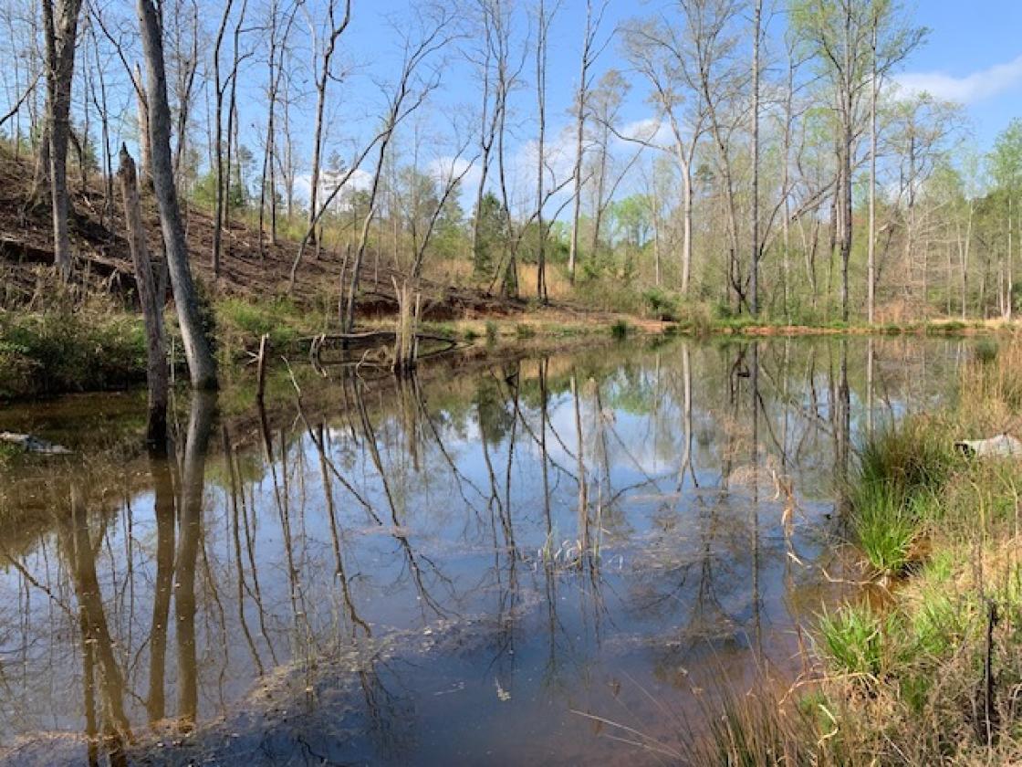 Madison County - Large Estate Farm - photo 15