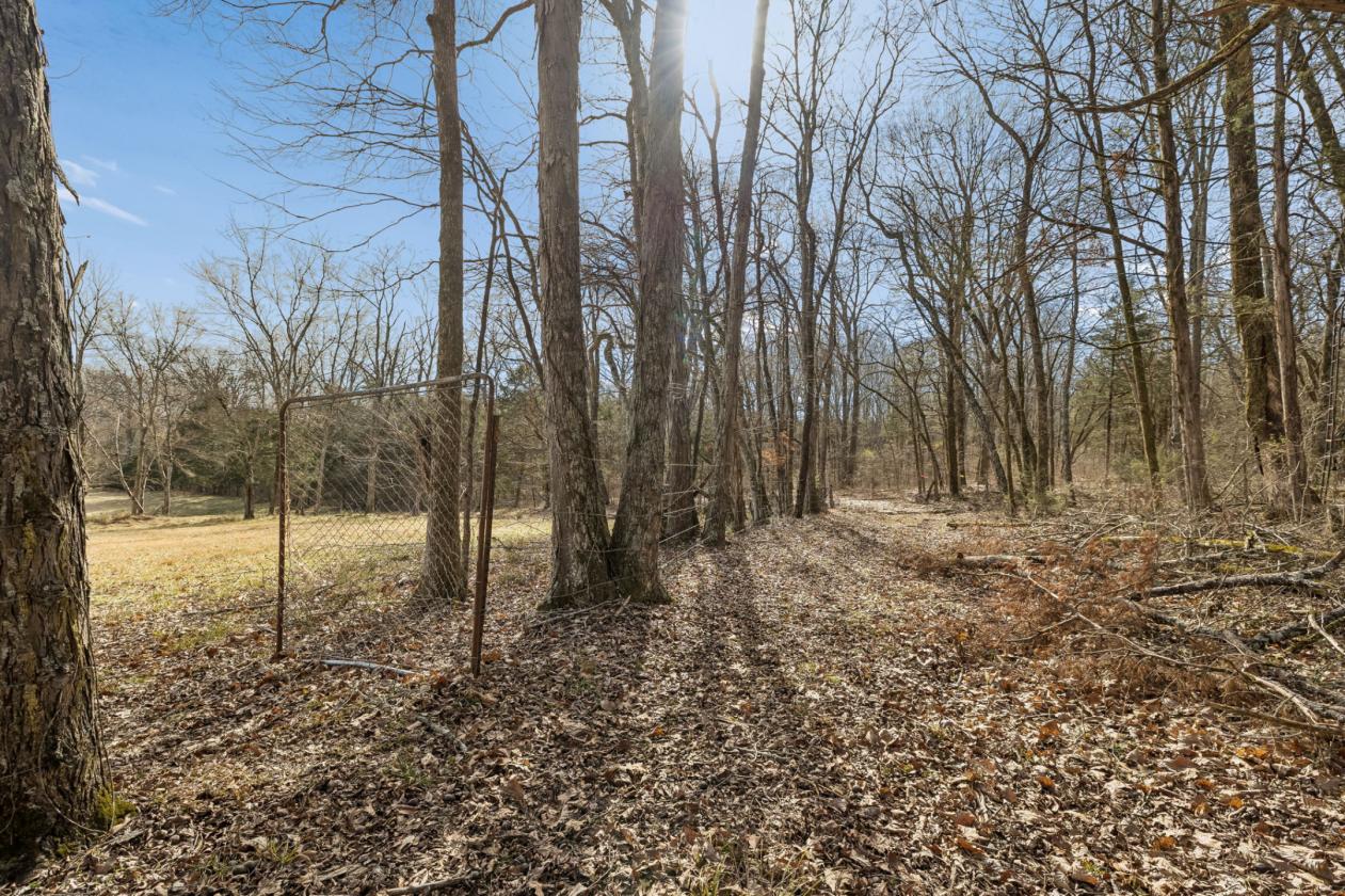 175 Gorgeous Acres - photo 26