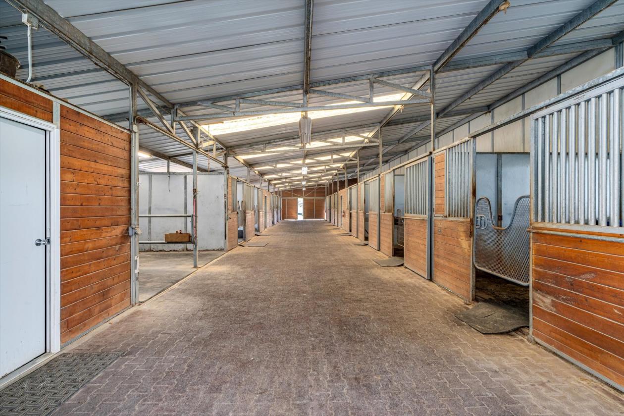 Where World-Class Pinot Meets Premier Equestrian - photo 20