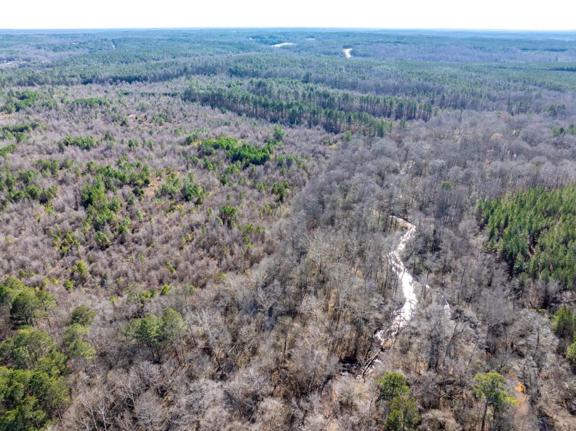 211 Acres- Luxury Estate & Equestrian Development - photo 21