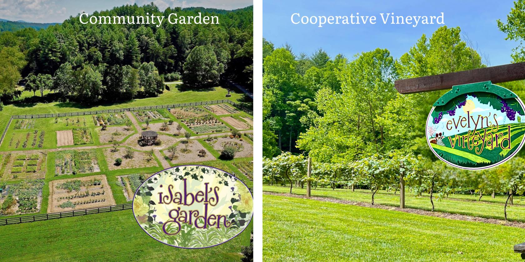 2.47 acres for your Mini-Farm Dream at The Coves - photo 27
