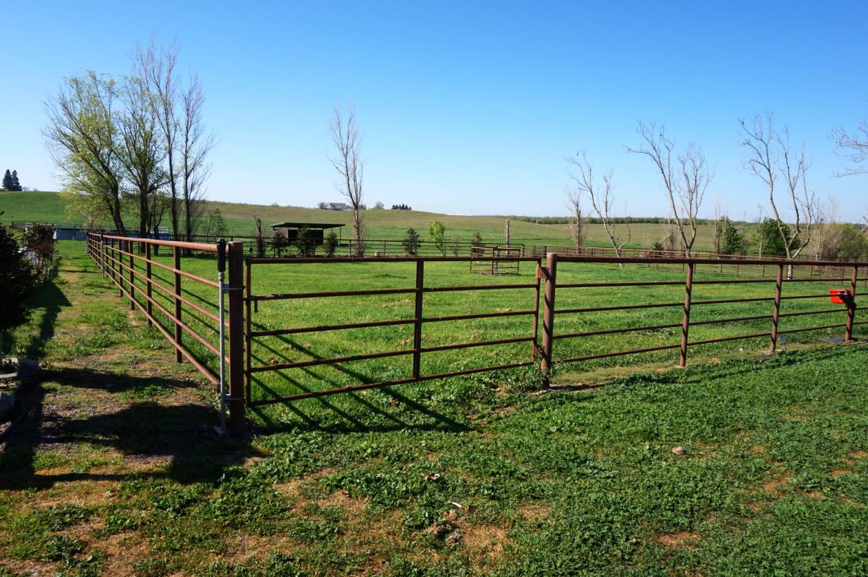 Oakdale California Equestrian Estate Oakdale, Stanislaus County