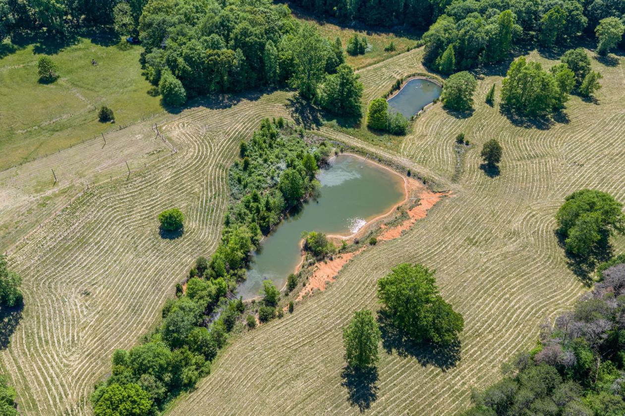 25-acre estate with river frontage and barn - photo 26