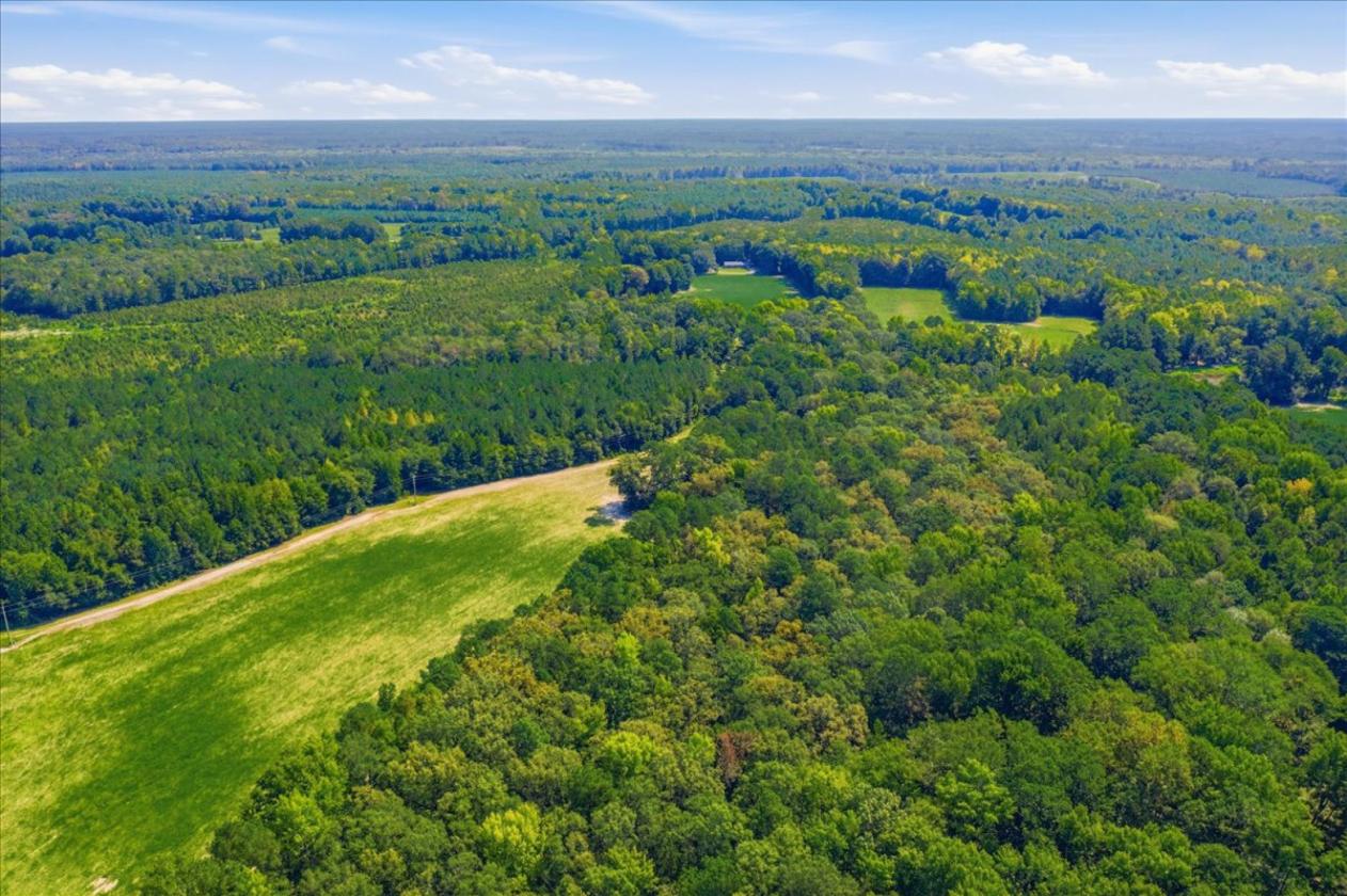 75 Acre Equestrian Dream Property - photo 24