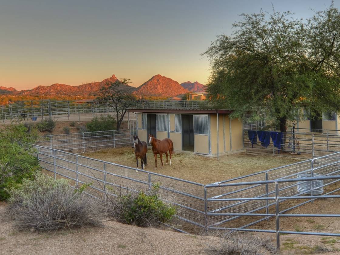 Scottsdale Prime Location 20 Acre Elite Equestrian Training Facility