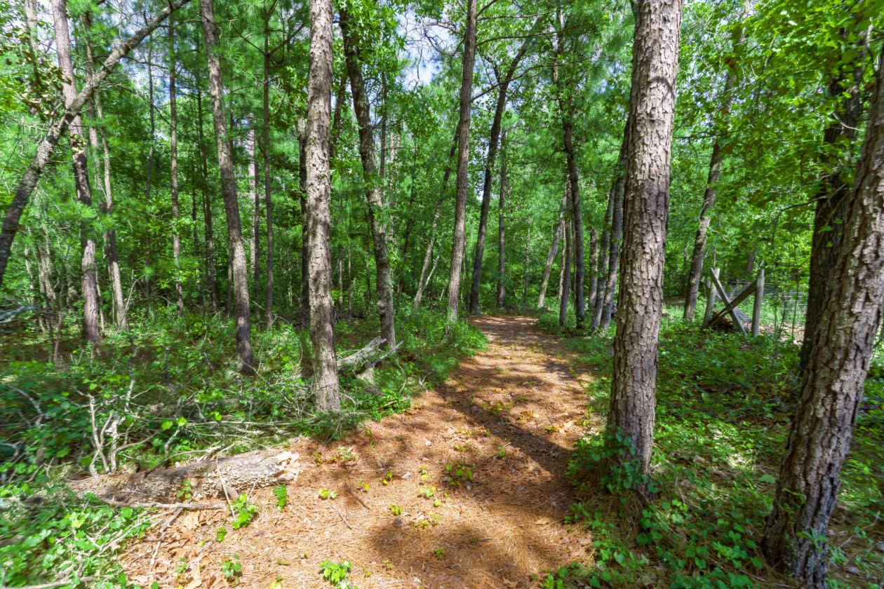 Equestrian Estate Near the Carolina Horse Park - photo 29
