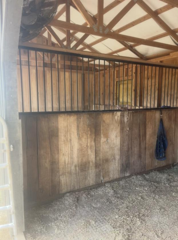 Horse Lover’s Dream on 3.71 Fenced Acres!! - photo 29
