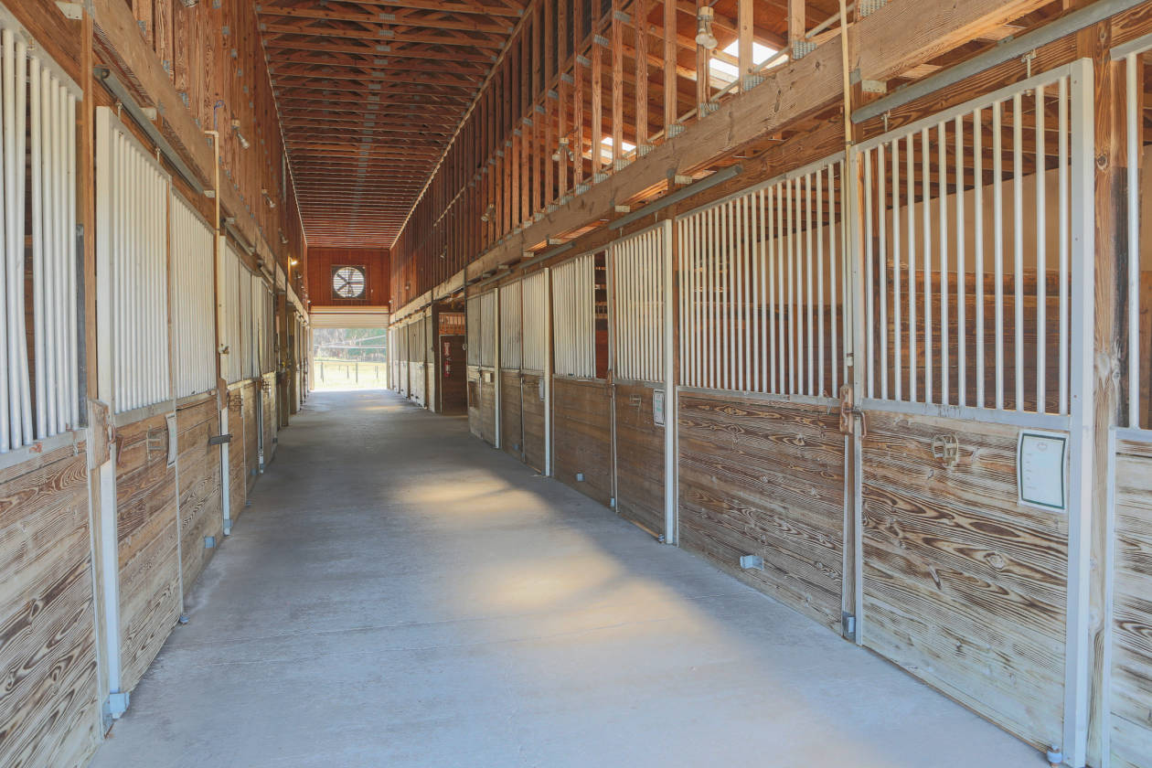 equestrian estate with lake views and 22 stall barn Clermont, Lake