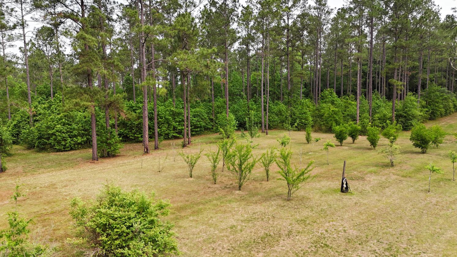 Charming Grady County Home With Room To Grow - photo 28