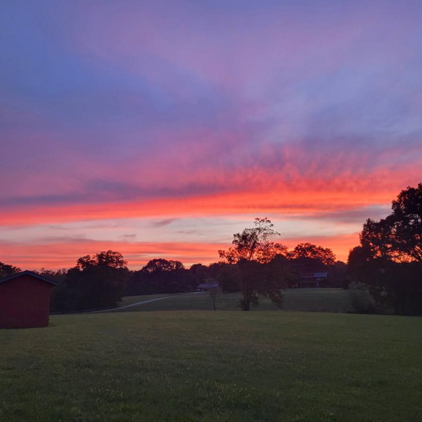 Grand Modern Farmhouse & Barn on almost 30 acres - photo 24