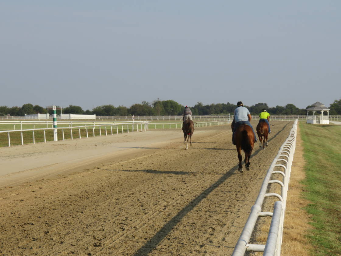 DIAMOND D RANCH Lone Oak, Hunt County, Texas Horse Properties