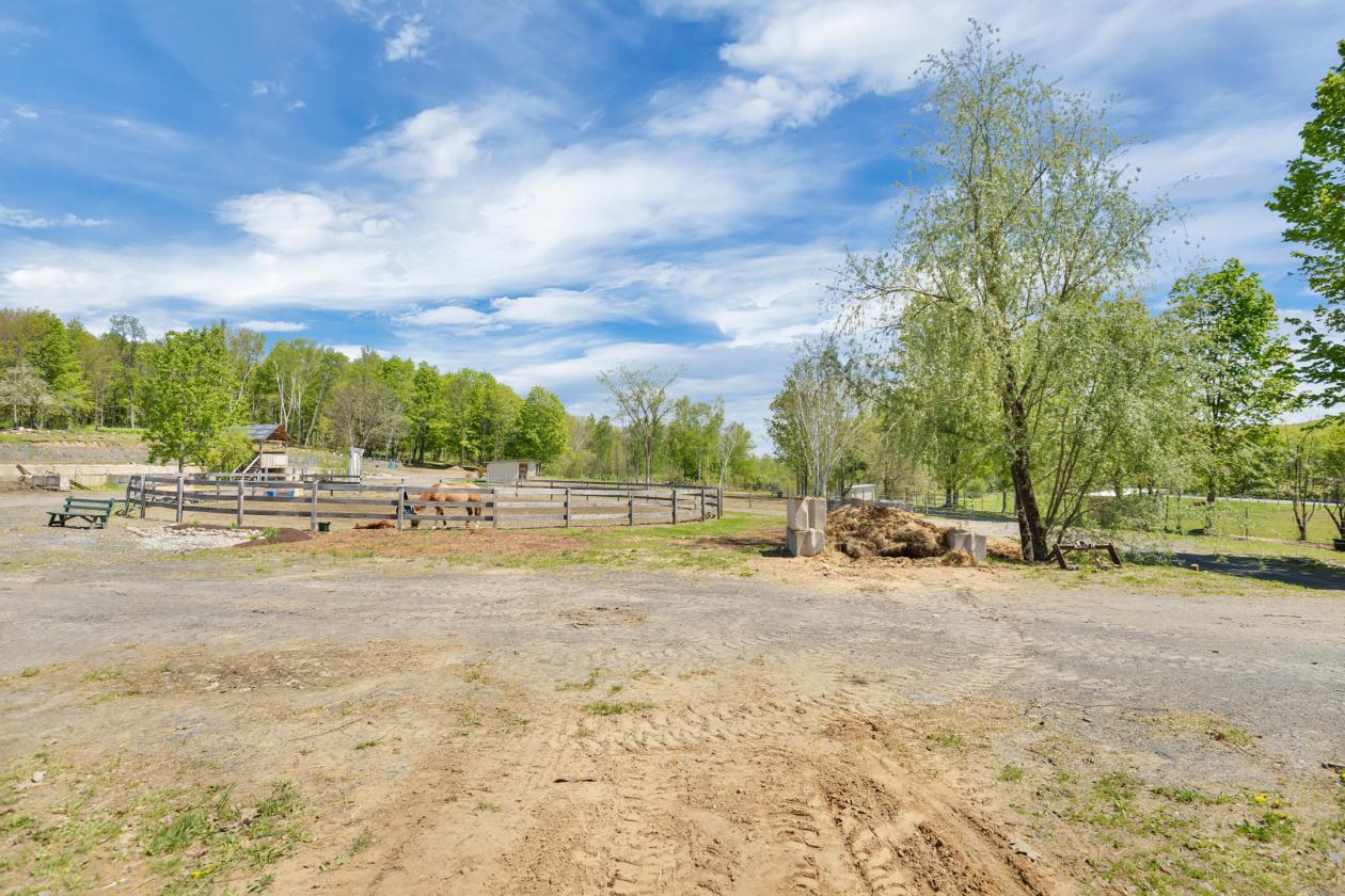 Upstate NY Equine Training & Breeding Facility - photo 11