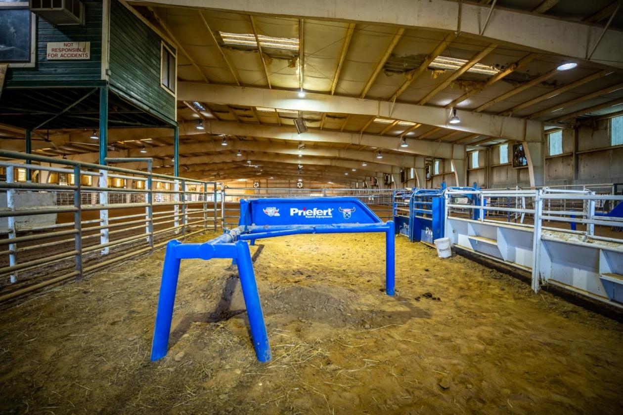Elite Western Arena & Event Center - photo 18