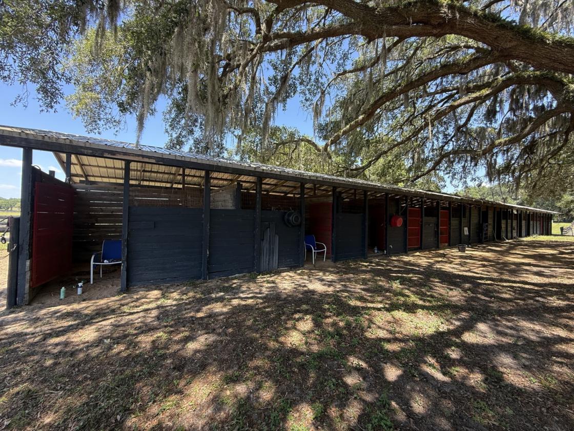 Tiffany Farm - 108 Acres - photo 29