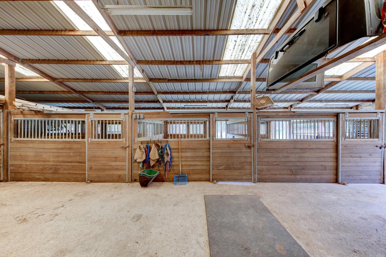 5-Acre Equestrian Estate with Barn & Pool - photo 5